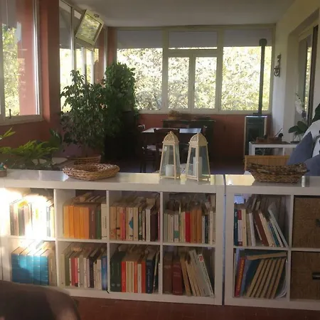 Bed & Breakfast Degli Olmi *