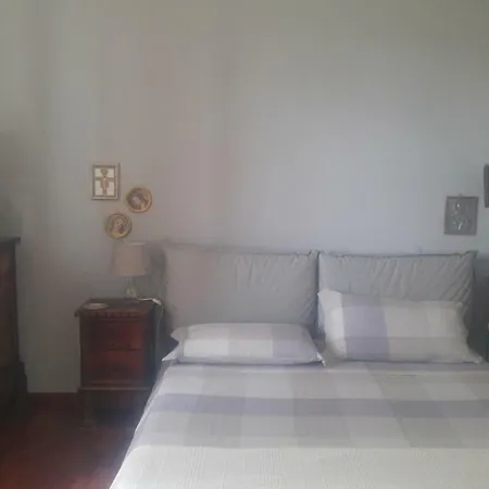 Degli Olmi *