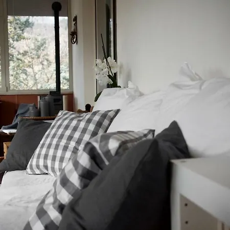 Bed & Breakfast Degli Olmi