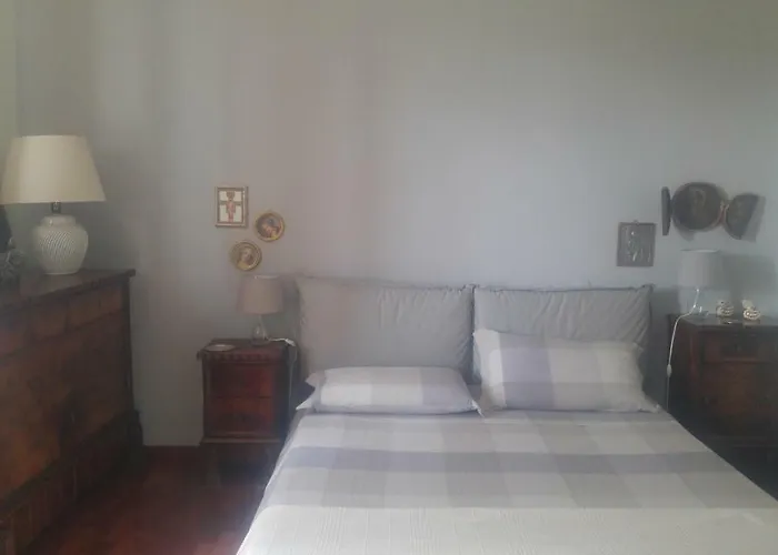 Degli Olmi *