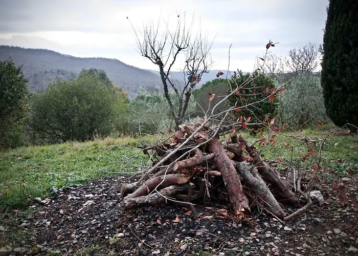 Bed and breakfast Degli Olmi *
